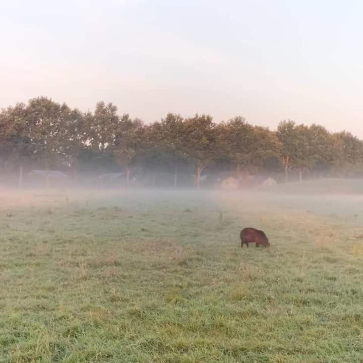 Uylkenshof Safaritenten En Natuurhuisjes Epe Exterior foto